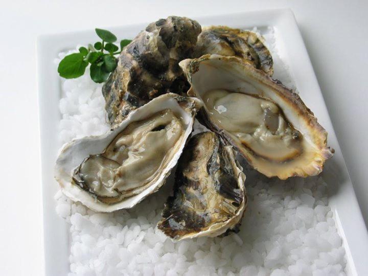 Les Sables D'or Holiday home *